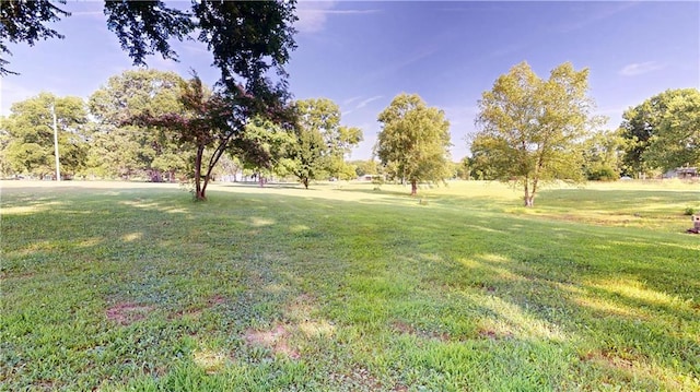 921 E Vine St, Rich Hill, MO 64779 - view of green lawn
