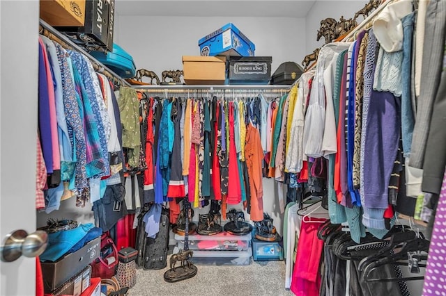 20367 W 193rd Ter, Spring Hill, KS 66083 - spacious closet with carpet floors