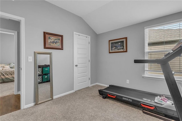 20367 W 193rd Ter, Spring Hill, KS 66083 - exercise area featuring carpet flooring and lofted ceiling