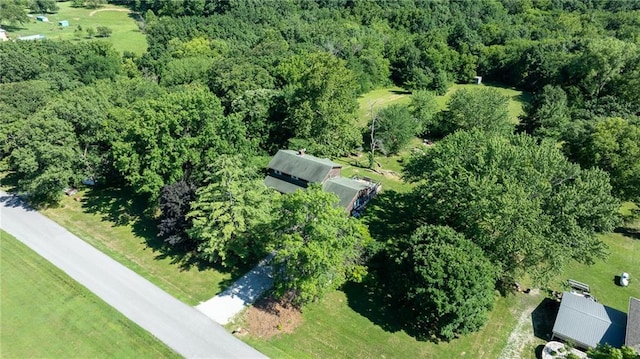 25421 Marel Rd, Excelsior Springs, MO 64024 - view of property location with a forest