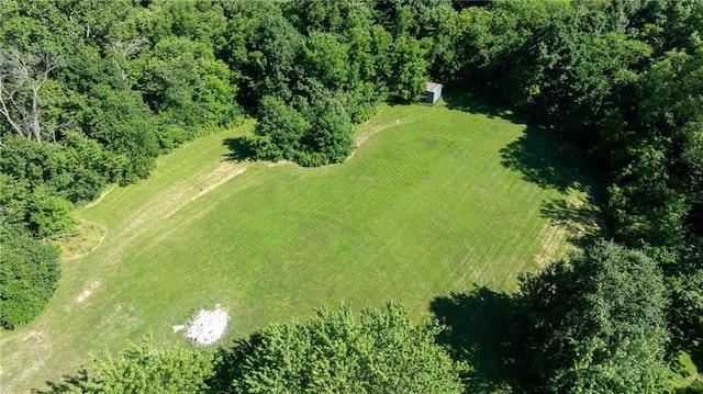 25421 Marel Rd, Excelsior Springs, MO 64024 - aerial overview of property's location