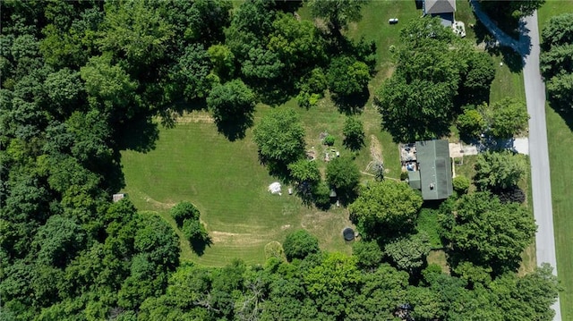 25421 Marel Rd, Excelsior Springs, MO 64024 - aerial view of property and surrounding area
