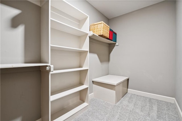 16420 Lucille St, Overland Park, KS 66221 - spacious closet featuring carpet floors