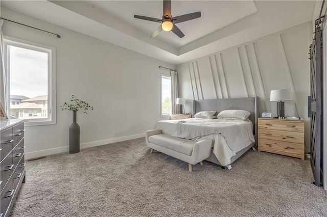 24976 W 87th St, Lenexa, KS 66227 - bedroom with a raised ceiling, carpet floors, and a ceiling fan