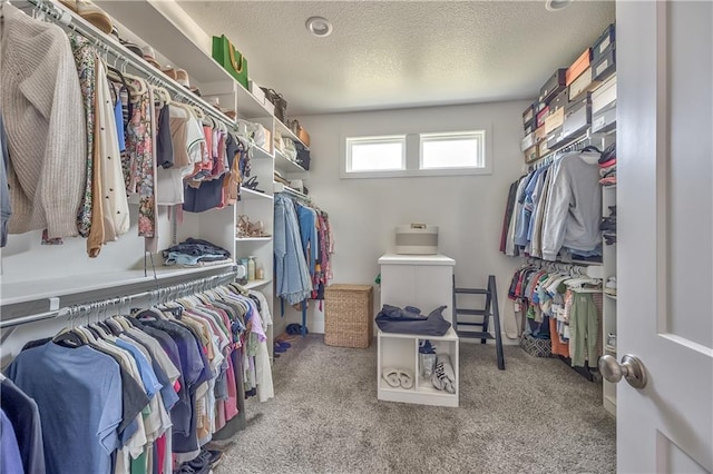 24976 W 87th St, Lenexa, KS 66227 - walk in closet with carpet flooring