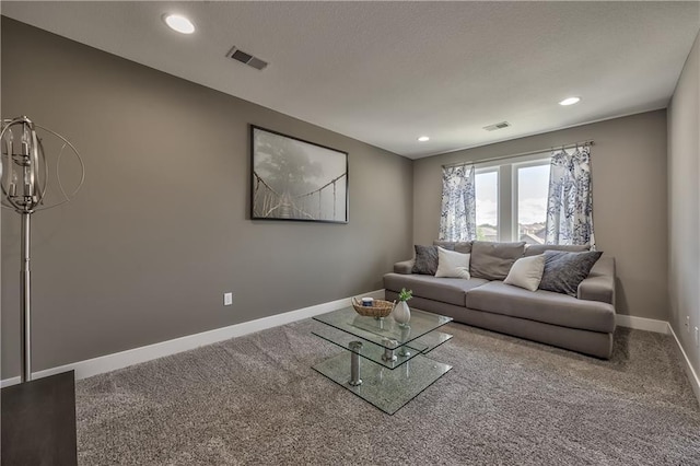 24976 W 87th St, Lenexa, KS 66227 - carpeted living room with recessed lighting