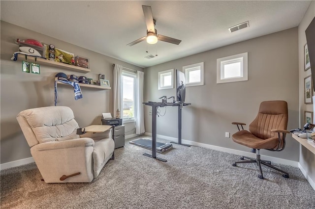 24976 W 87th St, Lenexa, KS 66227 - exercise area featuring carpet floors and a ceiling fan