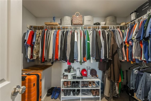 8103 NE 111th Ter, Kansas City, MO 64157 - walk in closet with carpet floors