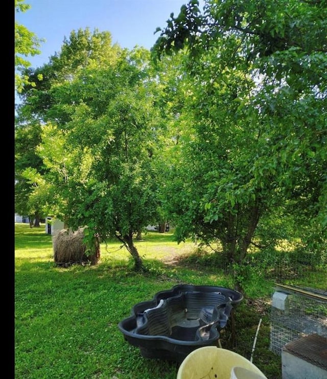 303 W Spruce St, Cherokee, KS 66724 - photo 22