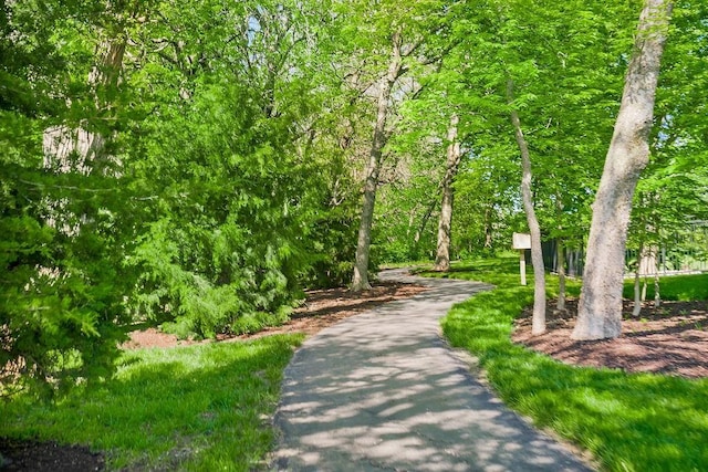 16316 Rosehill St, Overland Park, KS 66221 - photo 7