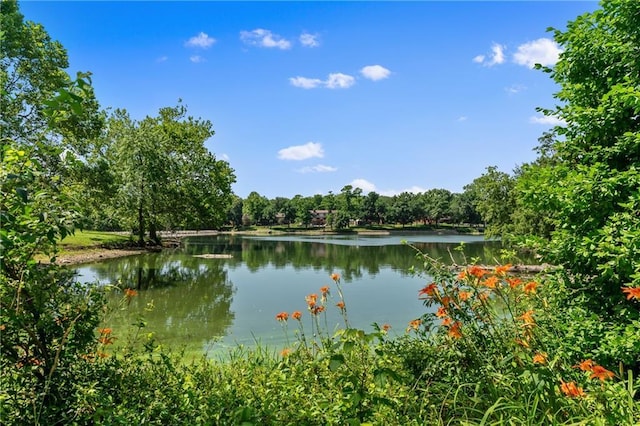 6727 Harvard Ave, Raytown, MO 64133 - water view with a forest