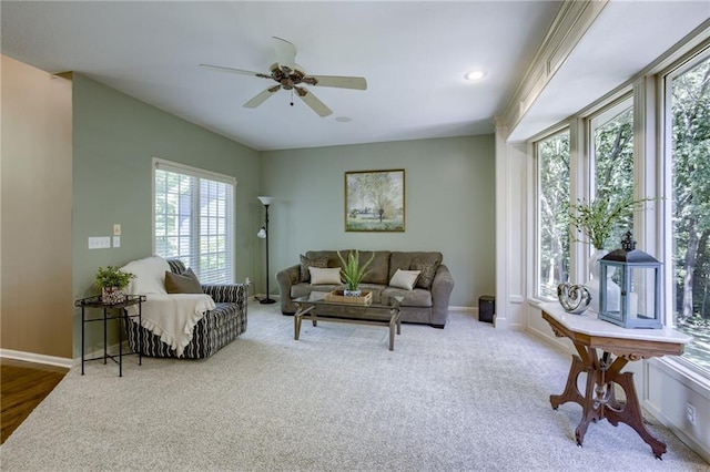 9005 N Manning Ave, Kansas City, MO 64157 - photo 12