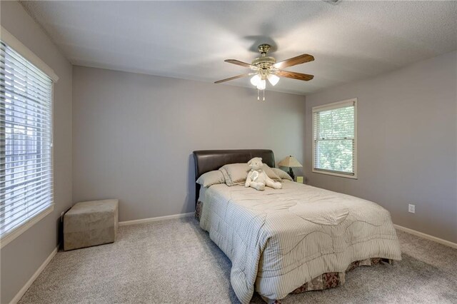 9005 N Manning Ave, Kansas City, MO 64157 - photo 35