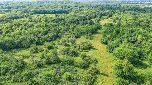 TBD E 355th Rd, Garden City, MO 64747 - photo 32