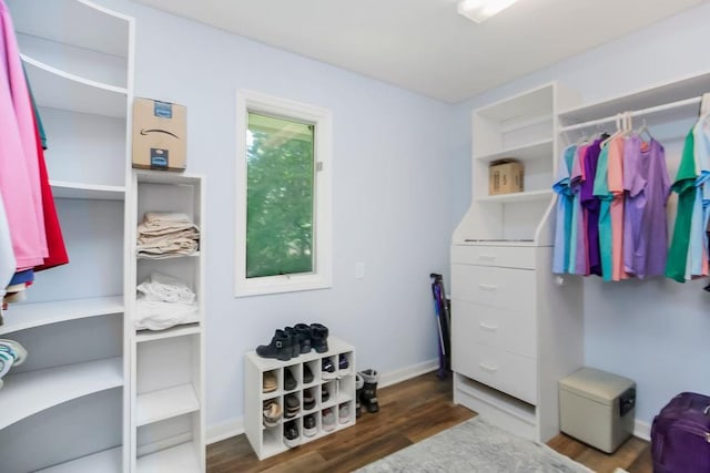 1100 Sycamore Ridge Dr, Lansing, KS 66043 - spacious closet featuring wood finished floors