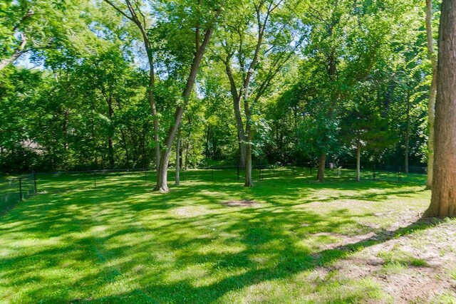 1100 Sycamore Ridge Dr, Lansing, KS 66043 - view of yard