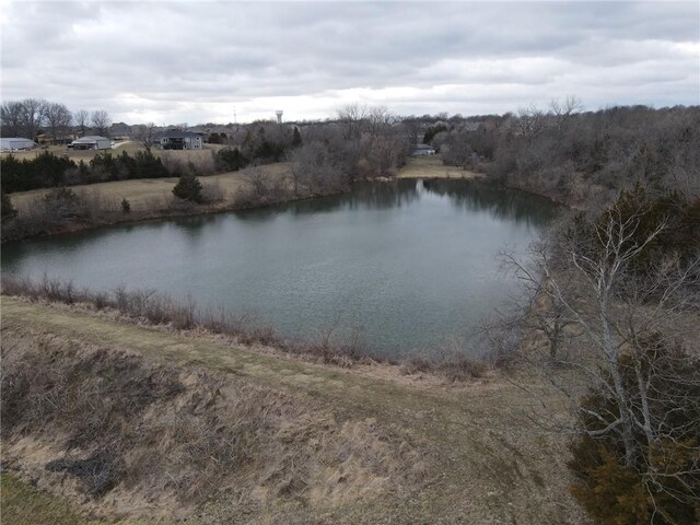 1311 N 150th St, Basehor, KS 66007 - photo 6