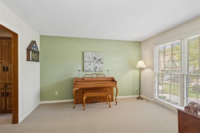12117 Knox St, Overland Park, KS 66213 - sitting room featuring plenty of natural light, carpet, and a textured ceiling