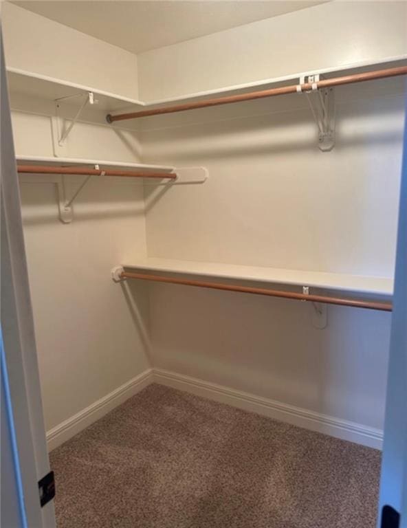 1703 Esther Dr, Kearney, MO 64060 - spacious closet with carpet floors
