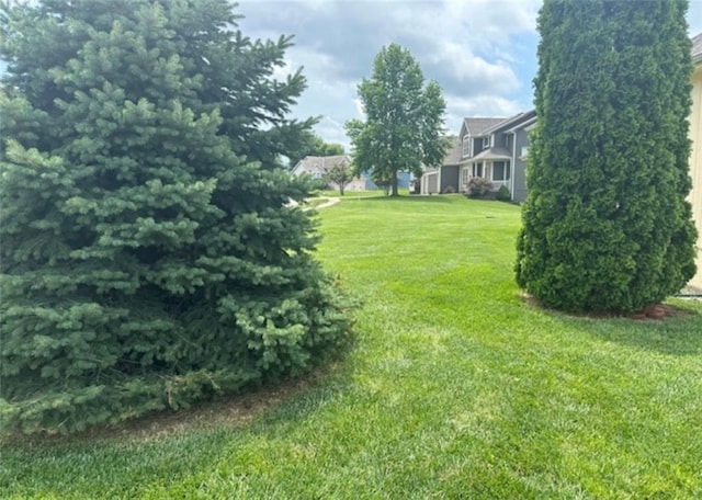 1703 Esther Dr, Kearney, MO 64060 - view of grassy yard