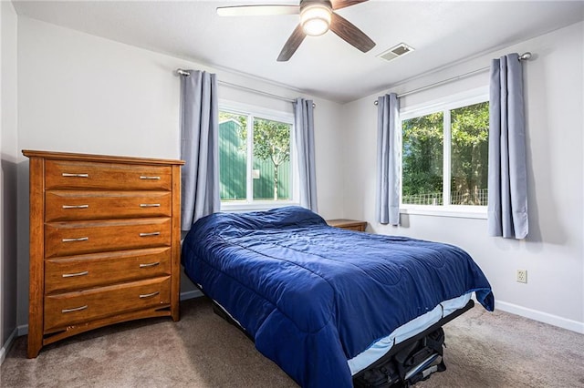 1433 Haskell Rd, Williamsburg, KS 66095 - bedroom with carpet floors, multiple windows, and ceiling fan