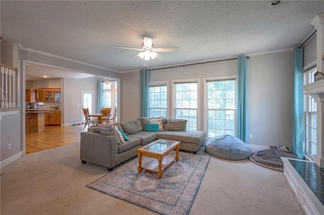 11580 S Skyview Ln, Olathe, KS 66061 - living area with light carpet, ceiling fan, crown molding, and a textured ceiling