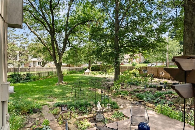 200 NE Oak Tree Cir, Lees Summit, MO 64086 - fenced backyard with a patio