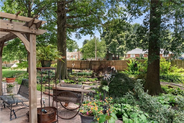 200 NE Oak Tree Cir, Lees Summit, MO 64086 - view of patio / terrace with a pergola