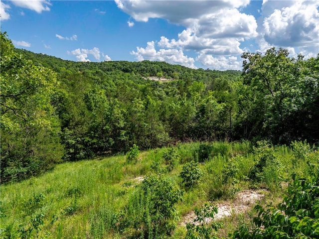 11 Turtle Cove Ln, Reeds Spring, MO 65737 - photo 7