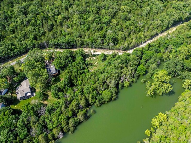 11 Turtle Cove Ln, Reeds Spring, MO 65737 - photo 9