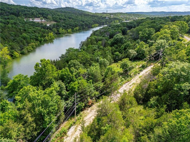 11 Turtle Cove Ln, Reeds Spring, MO 65737 - photo 15