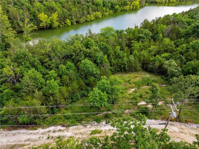 11 Turtle Cove Ln, Reeds Spring, MO 65737 - photo 16