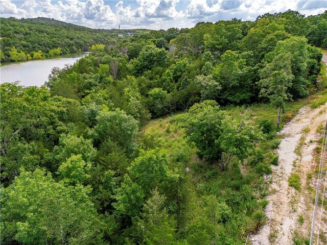 11 Turtle Cove Ln, Reeds Spring, MO 65737 - photo 17