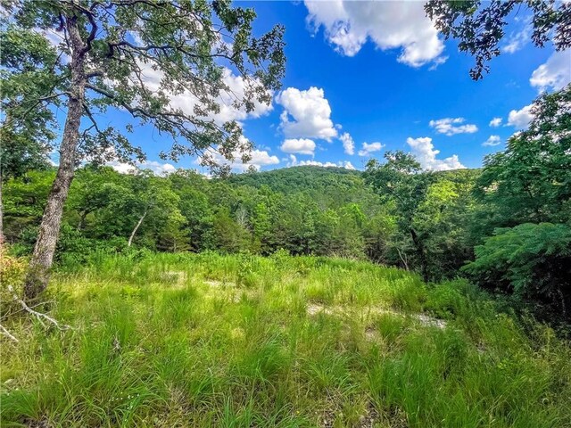 11 Turtle Cove Ln, Reeds Spring, MO 65737 - photo 18