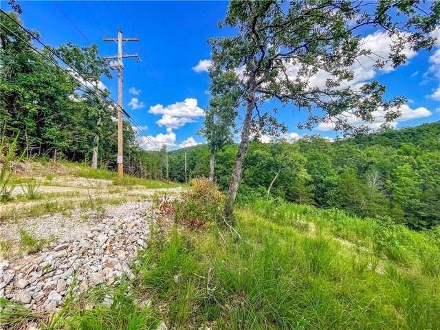 11 Turtle Cove Ln, Reeds Spring, MO 65737 - photo 19