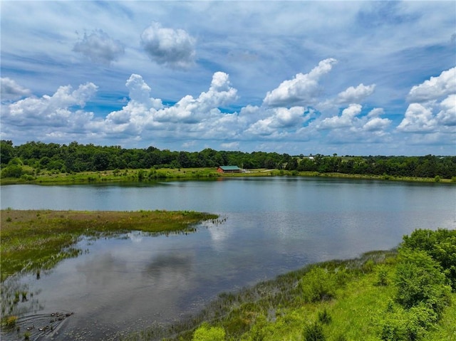 000 SE 54th Hwy, Collins, MO 64738 - photo 3