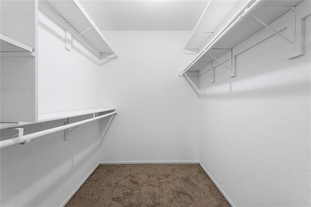 7421 NW 76th Ter, Kansas City, MO 64152 - walk in closet with carpet flooring