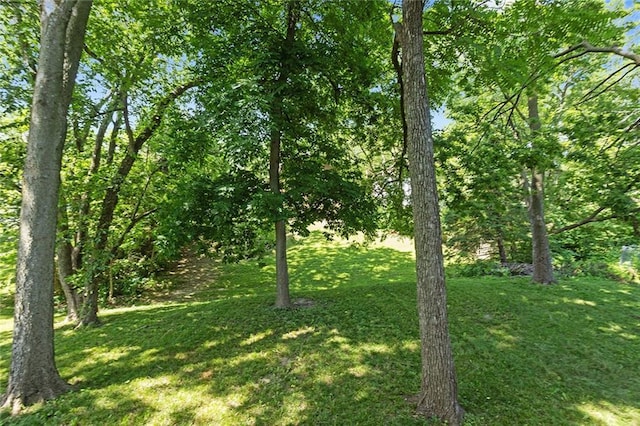 7421 NW 76th Ter, Kansas City, MO 64152 - view of green lawn