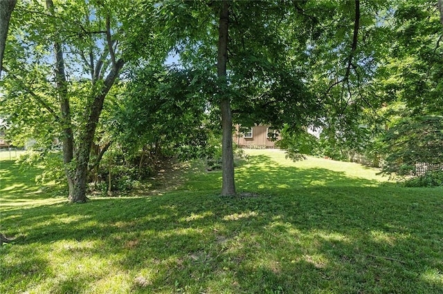 7421 NW 76th Ter, Kansas City, MO 64152 - view of grassy yard