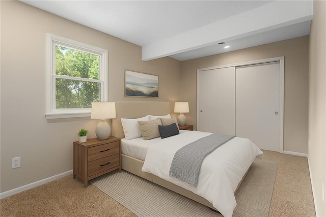 7421 NW 76th Ter, Kansas City, MO 64152 - bedroom with light colored carpet and a closet