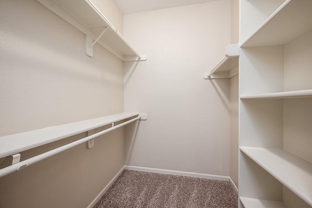 20444 W 125th Ter, Olathe, KS 66061 - spacious closet featuring carpet flooring