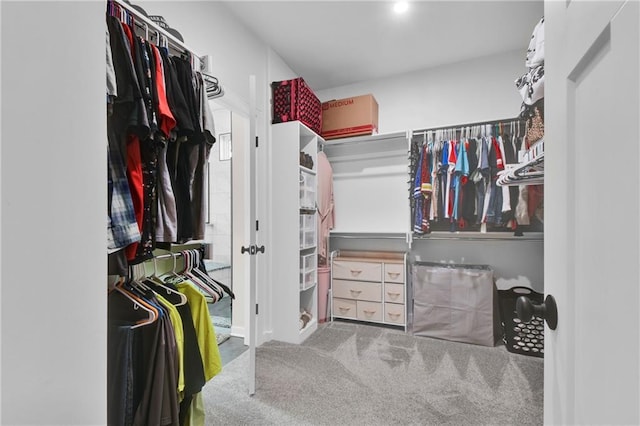 307 S Wilson St, Archie, MO 64725 - spacious closet featuring carpet flooring