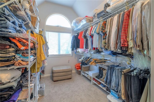 3013 S Granite Ave, Blue Springs, MO 64015 - walk in closet featuring lofted ceiling and carpet