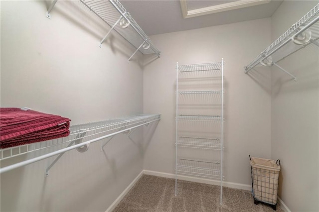 3013 S Granite Ave, Blue Springs, MO 64015 - spacious closet with carpet