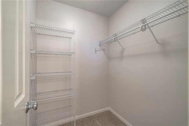 3013 S Granite Ave, Blue Springs, MO 64015 - spacious closet with carpet floors