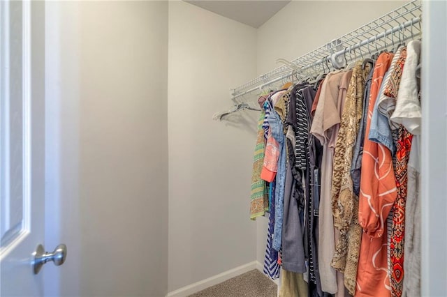 3013 S Granite Ave, Blue Springs, MO 64015 - walk in closet with carpet floors