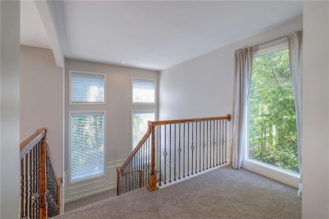 3013 S Granite Ave, Blue Springs, MO 64015 - staircase featuring carpet
