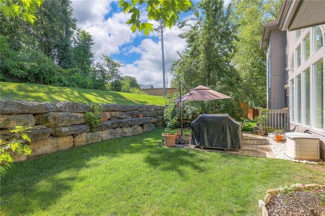 3013 S Granite Ave, Blue Springs, MO 64015 - view of yard