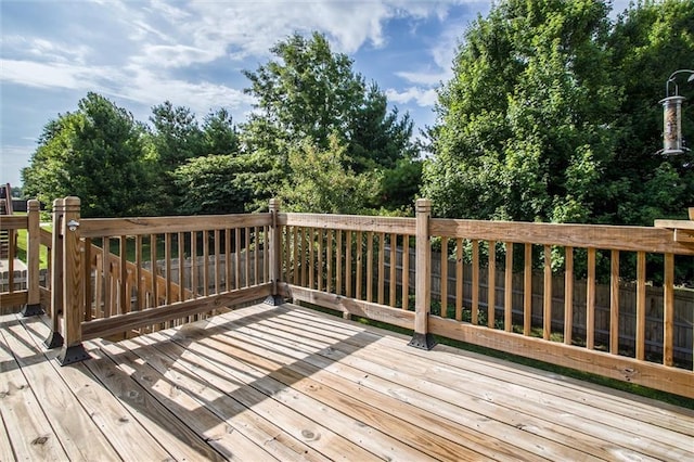 116 SE Hanging Garden St, Blue Springs, MO 64064 - photo 24