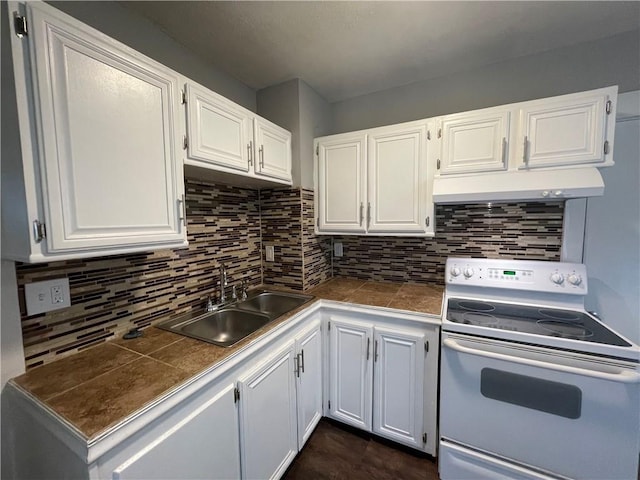 4916 Wabash Ave, Kansas City, MO 64130 - kitchen featuring electric range, under cabinet range hood, white cabinets, and tasteful backsplash
